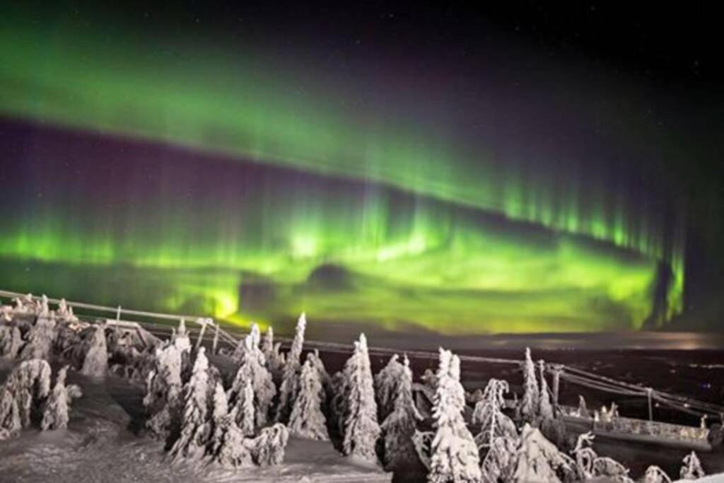 Cosy Studio Apartment - Perfect For Your Stay In Rovaniemi! Exteriör bild