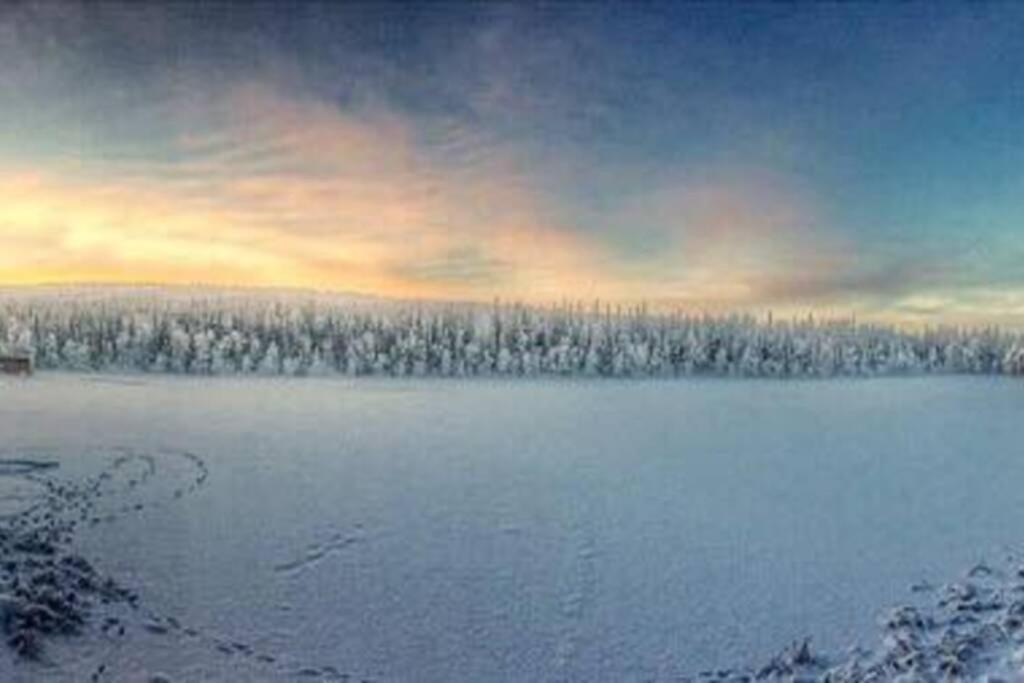 Cosy Studio Apartment - Perfect For Your Stay In Rovaniemi! Exteriör bild